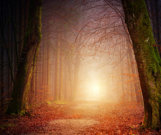Light The Path Session
